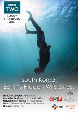 Wild Korea: Life at the Borderlands